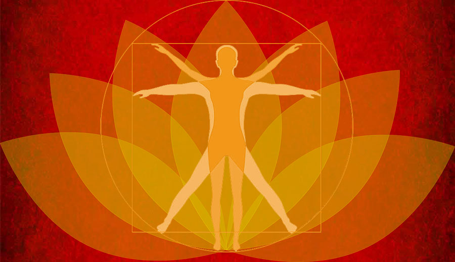 acupuncture and alternative medicine center logo (red)